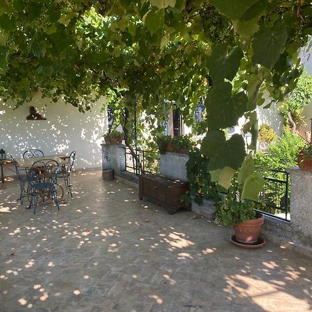 Alloggio Turistico La Stalla Tuscania Bagian luar foto