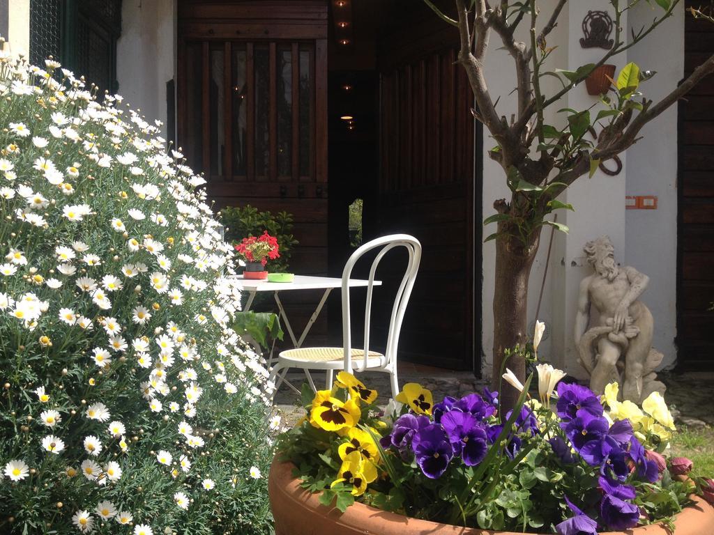 Alloggio Turistico La Stalla Tuscania Bagian luar foto